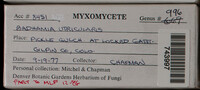 Image Associated With the Occurence